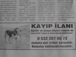 Kayıp köpeğini gazete ilanıyla arıyor