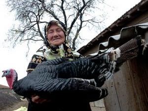 Yılbaşı, hindi satıcılarının yüzünü güldürdü