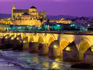 Konyanın yeni kardeşi...