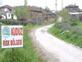 Köylülere saldıran tilkiler kuduz çıktı!