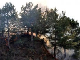 Yangınlarına müdahale süresi 15 dakikaya inecek