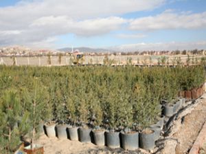 Konyanın en modern fidanlığı