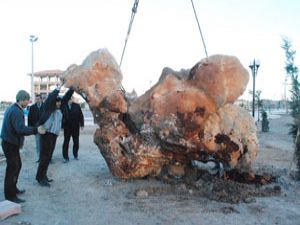 Parklara dekoratif taş!