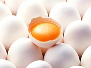 Yumurtayla haftada 1,5 kilo verin