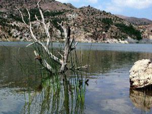 Konyada su seviyeleri yükseldi