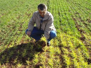 Tarımda yeni uygulama alanları