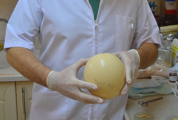 Deve kuşu yumurtasından yara bandı üretildi