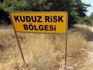 Vanda kuduz şüphesi