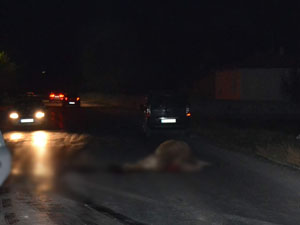 Kurbandan kaçtı, trafikten kaçamadı!