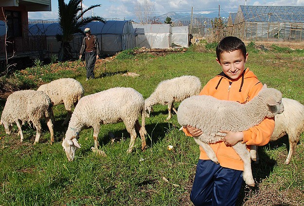 Dünya Gıda Gününün teması aile çiftçiliği