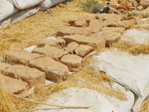 Konyada bu gelenek halen devam ediyor