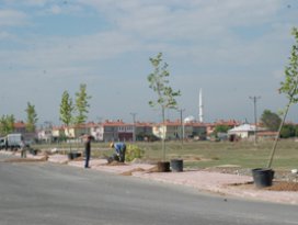 Karatayda ağaçlandırma çalışmaları devam ediyor