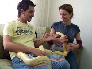 Pitona çocuğu gibi bakıyor