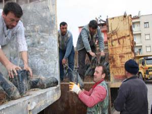 200 bin fidan toprakla buluşacak