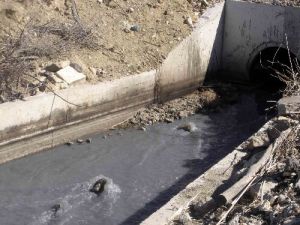 Foseptiğe düşen iki kardeşten biri öldü