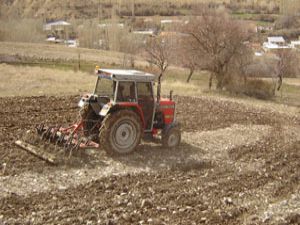 Baharın erken gelmesinin tarıma yan etkisi