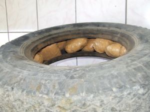 Bir bataktan bir batağa!