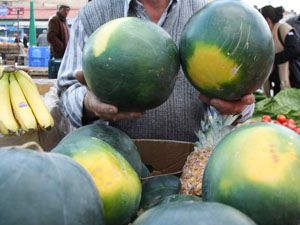 İran karpuzu tezgahlarda