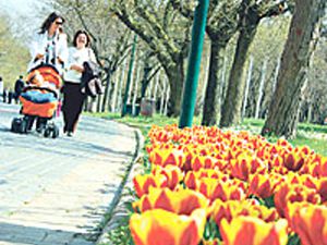 Konya lalelerle güzelleşiyor