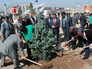 Karatayda 3 bin fidan toprakla buluştu