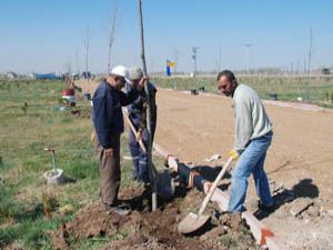 Karatay hobi bahçelerini ağaçlandırıyor