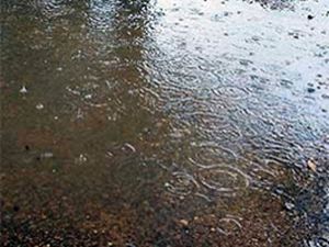 Hububat üreticisi sevindi ama...