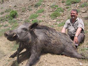 Çiftçilerden domuz önlemi