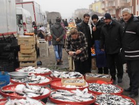 Cihanbeylide balık tezgahları denetlendi