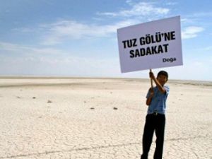 Konyanın yarısından fazlası kurudu