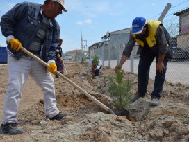 Karatayda ağaçlandırma çalışmaları