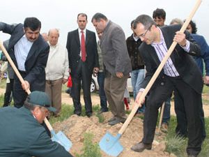 Konyada gazeteciler fidan dikti