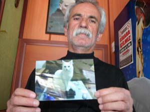 Bademi bulana 100 lira ödül