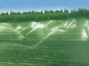 Konya Ovası su israfından kurtulacak