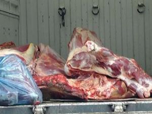 Konyada 200 kilo kaçak et yakalandı