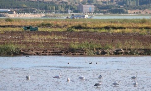 Beyşehir Gölü kıyıları kuraklık nedeniyle çekildi