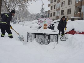 Meram’da sokak hayvanlarına sahip çıkılıyor