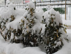 Konya ve çevresine kuvvetli kar yağışı uyarısı