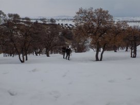 Konyada 18 kişiye 12 bin lira ceza