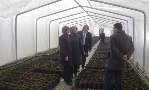Meram’ın bitki üretim merkezi