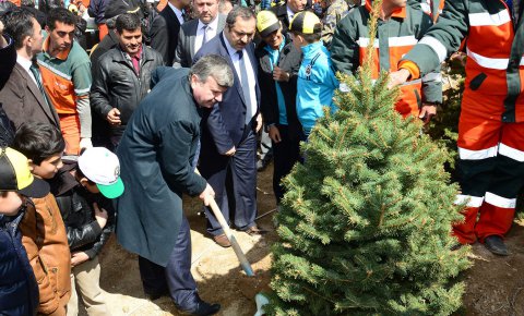 Konya’da 2016’da 9,6 milyon fidan toprakla buluştu