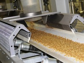 Torku bulgur üretimi başladı