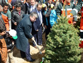 Konyada 5 Milyon Fidan Toprakla Buluşuyor