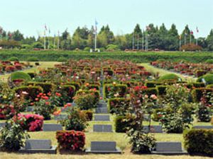 Bir Türk şehidin üstünde 10 Çinli