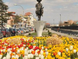 Akşehir çiçeklere büründü