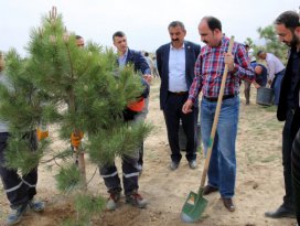 Sanayi Çalışanı Gençler 1071 Fidanı Toprakla Buluşturdu