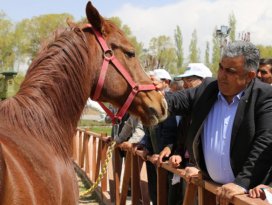 Atlı Spor Kulübü açılış için gün sayıyor