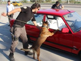 Narkotik köpeği ’Oscar’ bayram mesaisinde