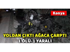 Yoldan çıkan otomobil ağaçlara çarptı