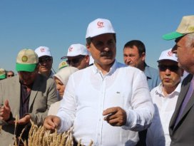 Bakan Çelik Konya’da hasat bayramına katıldı