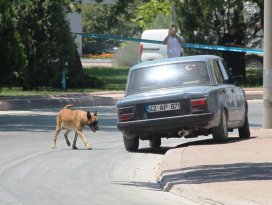 Konya İl Jandarma Komutanlığı önünde şüpheli araç